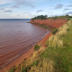 Red sea from the eroding red sand of Prince Edward Island.