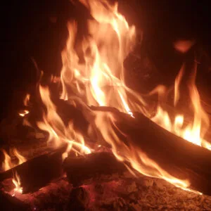 A juniper fire lights up the night.